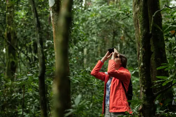 Aromaterapia no Ecoturismo: O Guia Completo para Explorar Florestas Tropicais com Bem-Estar e Proteção Natural